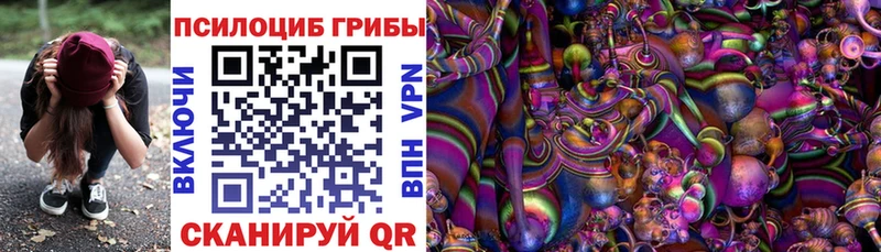 купить наркоту Велиж Галлюциногенные грибы Magic Shrooms